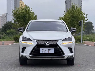 2020 Lexus NX 200 FWD Sharp Edition China V, фото 2, лот 10317600