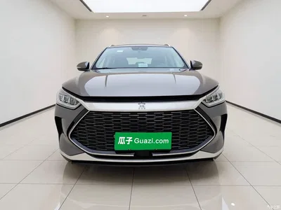 2021 BYD Song PLUS PHEV DM-i 110KM Flagship PLUS, фото 2, лот 11135650