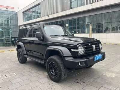 2021 Tank 300 Off-road Version 2.0T Conqueror, фото 4, лот 10450345