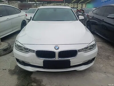 2016 BMW 3 Series 320Li Progressive, фото 3, лот 10458199