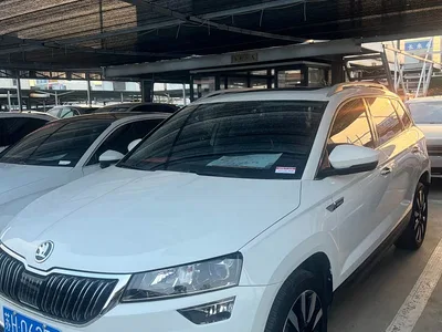 2021 Škoda Karoq TSI280 Luxury Edition, фото 1, лот 10348452