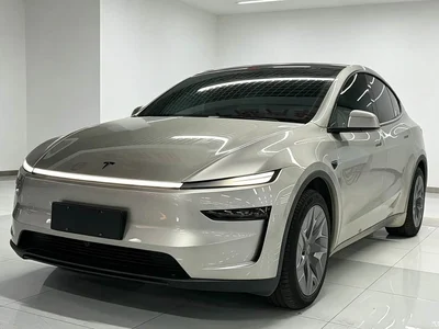 2025 Tesla Model Y L, фото 1, лот 10841896