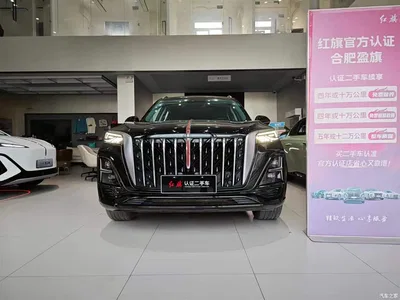 2023 Hongqi HS5 2.0T AWD Flag Enjoy Pro Edition, фото 2, лот 10288244