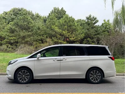 2021 Buick GL8 Land Business Class 652T Luxury, фото 3, лот 11241401