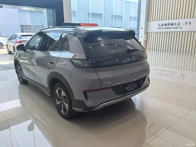 2025 BYD Hai Shi 05 EV 520KM Smart Navigation Edition, фото 4, лот 10679697