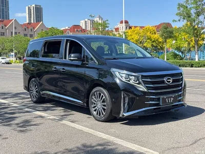 2021 GAC Trumpchi Trumpchi M8 Leading Show Series 390T Ultimate Edition, фото 2, лот 10419696