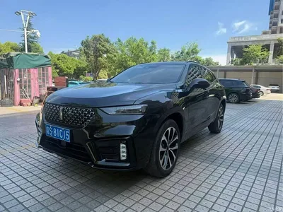 2020 WEY VV7 2.0T Super Luxury, фото 1, лот 10451314