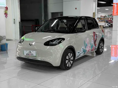 2024 Wuling Motors Wuling Bingo 333km Comfort Edition, фото 1, лот 10367163