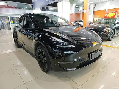 2021 Tesla Model Y Standard Range Rear-Wheel Drive, фото 4, лот 10369888