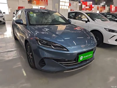 2024 BYD Seal 06 New Energy DM-i 120KM Premium, фото 4, лот 10271986