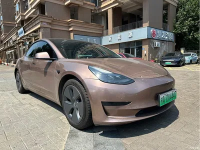 2022 Tesla Model 3 Model Rear-Wheel Drive Version, фото 3, лот 10392731