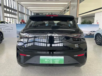 2025 BYD Dolphin Smart Drive Edition 410km Fashion Version, фото 4, лот 10400111
