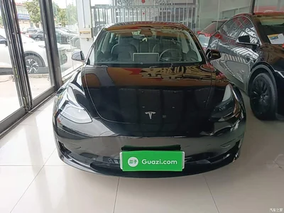 2022 Tesla Model 3 Model Rear-Wheel Drive Version, фото 3, лот 10455384
