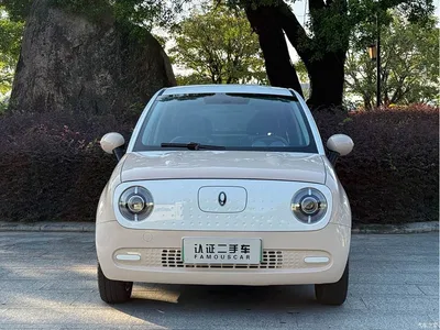 2022 Ora Black Cat 301km Cute Pet Edition (LFP), фото 2, лот 10447849