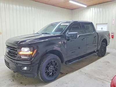 2024 FORD F150 XLT, фото 1, лот 11239029