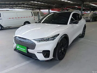 2021 Ford Mustang Mach-E Boundless RWD Luxury (Long Range), фото 2, лот 10283399