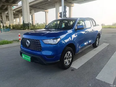 2021 Great Wall Pao 2.0T Commercial Edition Manual Diesel 2WD Elite Long Box GW4D20M, фото 2, лот 10248880