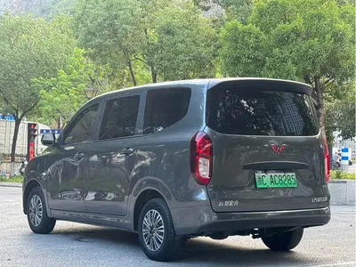 2024 Wuling Motors Wuling Hongguang New Energy Pure Electric 300KM Standard, фото 3, лот 11148422
