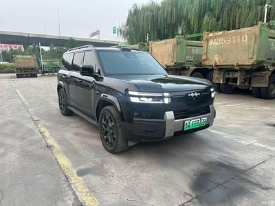 2025 Byd Titanium 7 AWD Base Model, фото 3, лот 10955198