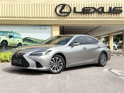2025 Lexus ES 300h Ultimate Edition, фото 1, лот 10312574