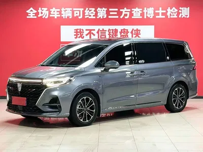 2022 Roewe iMAX8 400TGI Honor Edition, фото 1, лот 10338885