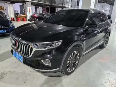 2019 Hongqi HS5 2.0T Smart Connect Enjoy 4WD Edition, фото 1, лот 10287948