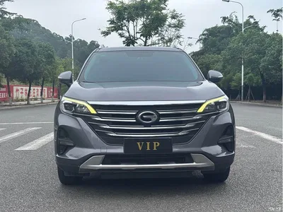 2019 GAC Trumpchi Trumpchi GS5 270T Automatic Elite, фото 2, лот 11213320