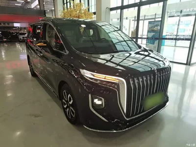 2023 Hongqi HQ9 2.0T Smart Connect Flagship, фото 4, лот 10289500