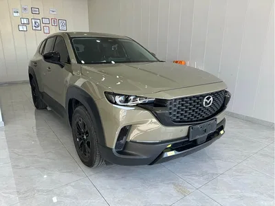 2023 Mazda CX-50 Xingye 2.0L Leading Edition, фото 3, лот 10327100