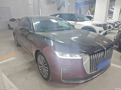 2020 Hongqi H9 2.0T Smart Connection Qi Xiang Edition, фото 4, лот 10416770