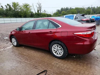2017 TOYOTA CAMRY LE, фото 2, лот 11561166