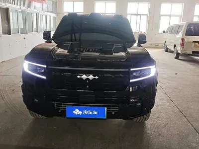 2025 Byd Leopard 8 Zhiyong Flagship 7-Seater, фото 2, лот 10835096