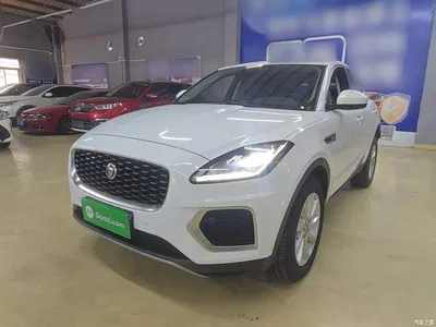 2024 Jaguar E-PACE Youth Sport Edition R-DYNAMIC, фото 1, лот 10765142