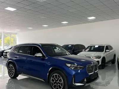 2023 BMW X1 xDrive25Li X Design Package, фото 3, лот 10465822