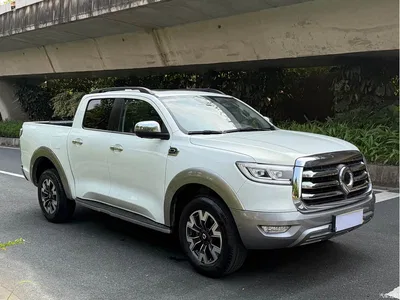 2021 Great Wall Pao 2.0T Passenger Global Edition Automatic Gasoline 4WD Premium Standard Box GW4C20B, фото 3, лот 10245856