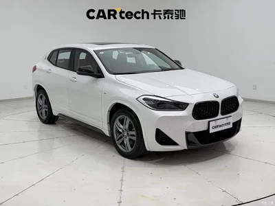 2023 BMW X2 sDrive25i M Sport Shadow Edition, фото 2, лот 10475437