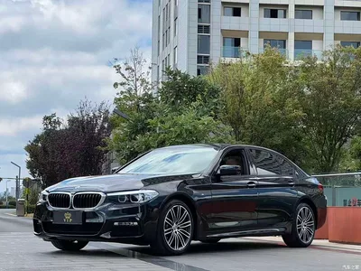 2018 BMW 5 Series 530Li Leading M Sport Package, фото 1, лот 11215285