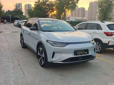 2021 Leapmotor C11 Model Premium Edition, фото 3, лот 10316965