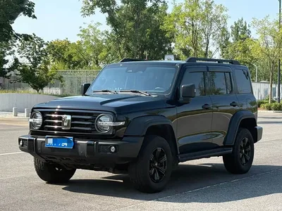 2021 Tank 300 Off-road Version 2.0T Conqueror, фото 1, лот 10345064