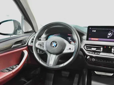 2023 BMW X3 xDrive30i Leading M Night Package, фото 4, лот 11503198