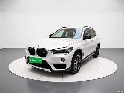 2016 BMW X1 sDrive20Li Luxury Model, фото 1, лот 10448363
