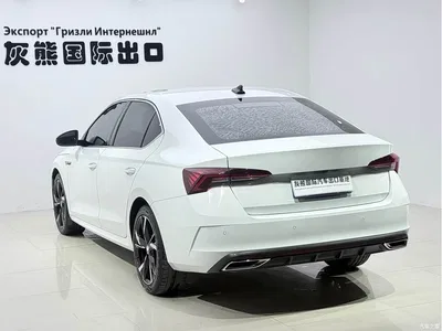 2022 Škoda Octavia PRO TSI280 Luxury Edition, фото 4, лот 10349030