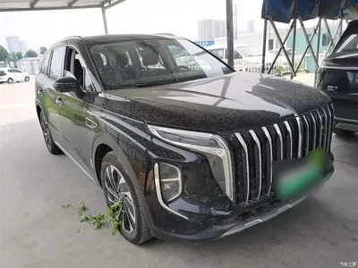 2024 Hongqi HS7 PHEV 2.0T PHEV 4WD Flagship Edition 6-seater, фото 4, лот 10289704