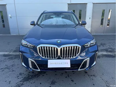 2025 BMW X5 Model xDrive 40Li Exclusive M Sport Blackout Package, фото 2, лот 10462964