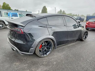 2023 TESLA MODEL Y, фото 3, лот 10854989