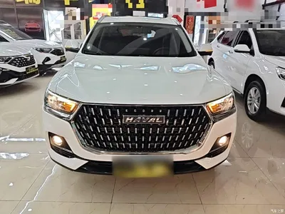 2023 Haval H6 National Trend Edition 1.5T Automatic Urban, фото 3, лот 10285716
