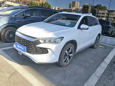 2024 BYD Song Pro New Energy Glory Edition DM-i 71KM Pilot, фото 1, лот 10273999