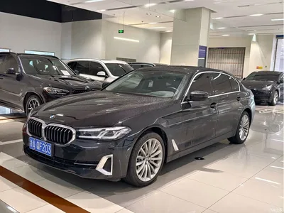 2023 BMW 5 Series Facelift 530Li Premium Luxury Package, фото 1, лот 11547744