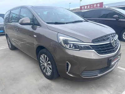 2020 Buick GL8 Model Land Business Class 652T Comfort, фото 3, лот 10256841
