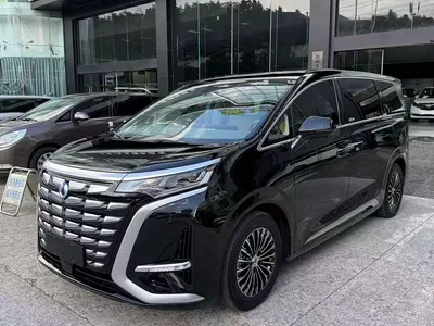 2022 Denza D9 DM-i 945 Luxury, фото 2, лот 10356340